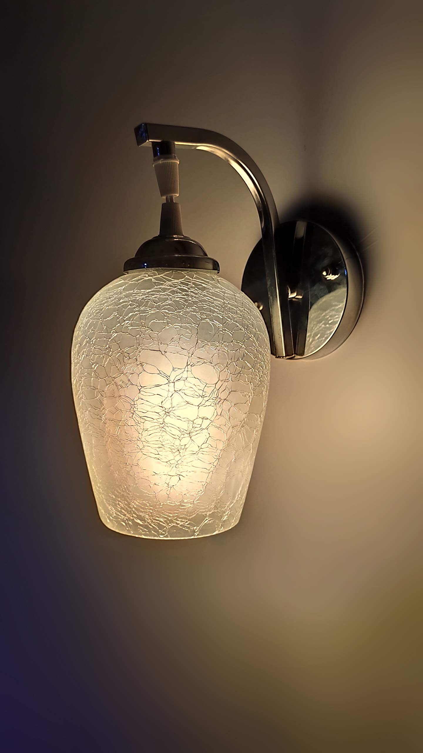 Frost Flower Wall Lamp - Modern Transparent Design -10