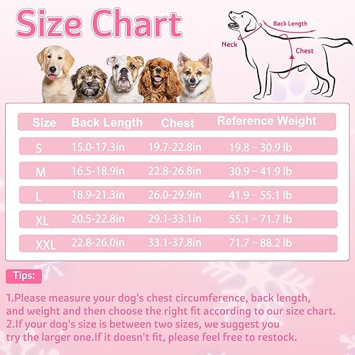 Dog Winter Coat Soft Fleece Dog Clothes for Cold — lifestyle photo