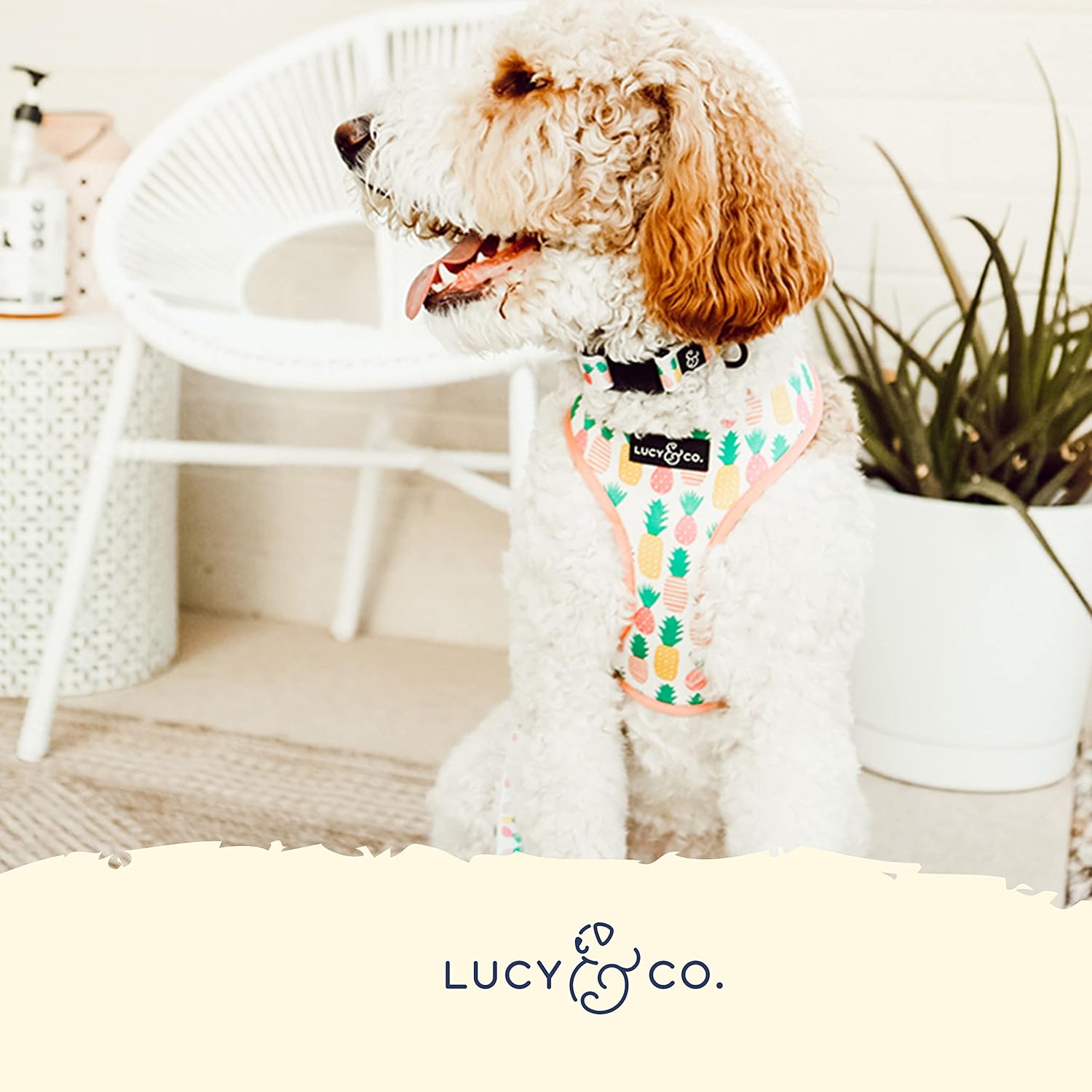 Lucy & Co Reversible Dog Harness | Soft and Padded for Comfort with Ability to Easily Switch Between Two Designer Harness Prints | Adjustable Walking Harness for Large Medium Small Dogs