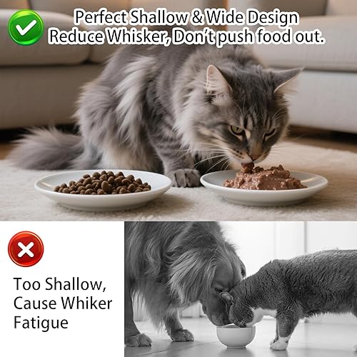 Miniatura 3 de Juego de 6 cuencos de comida para gatos, cuencos de cerámica para gatos, antifatiga y antibigotes, platos anchos y poco profundos para alimentos