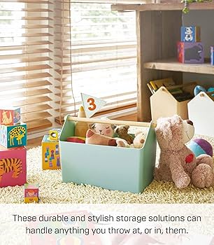 Amazon.com: YAMAZAKI Home Favori Storage Organizer/Cleaning Caddy