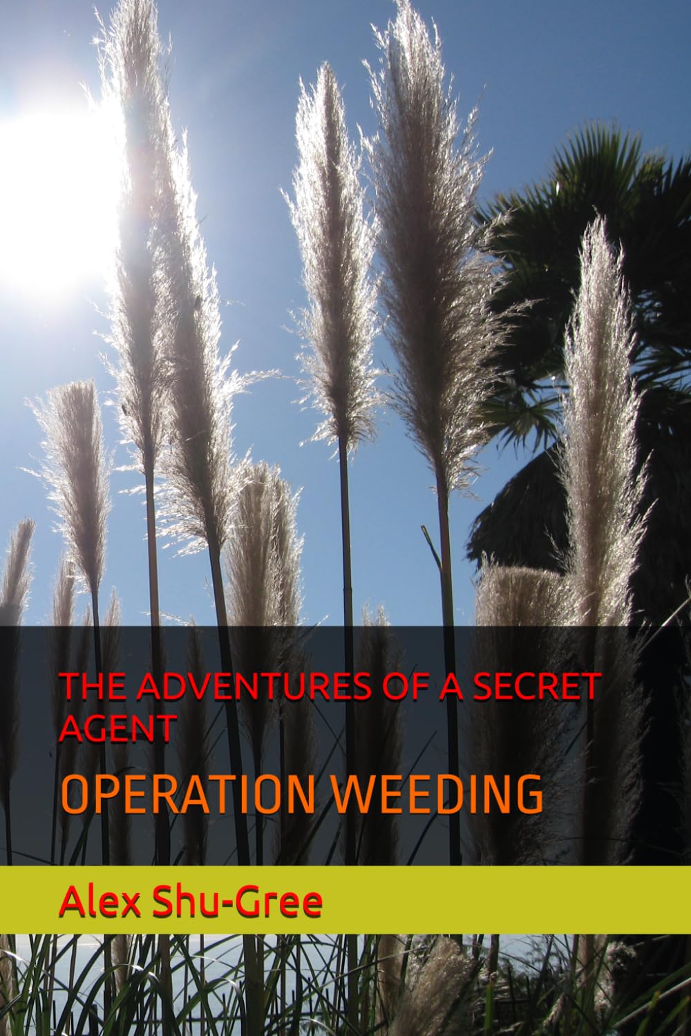THE ADVENTURES OF A SECRET AGENT: OPERATION WEEDING