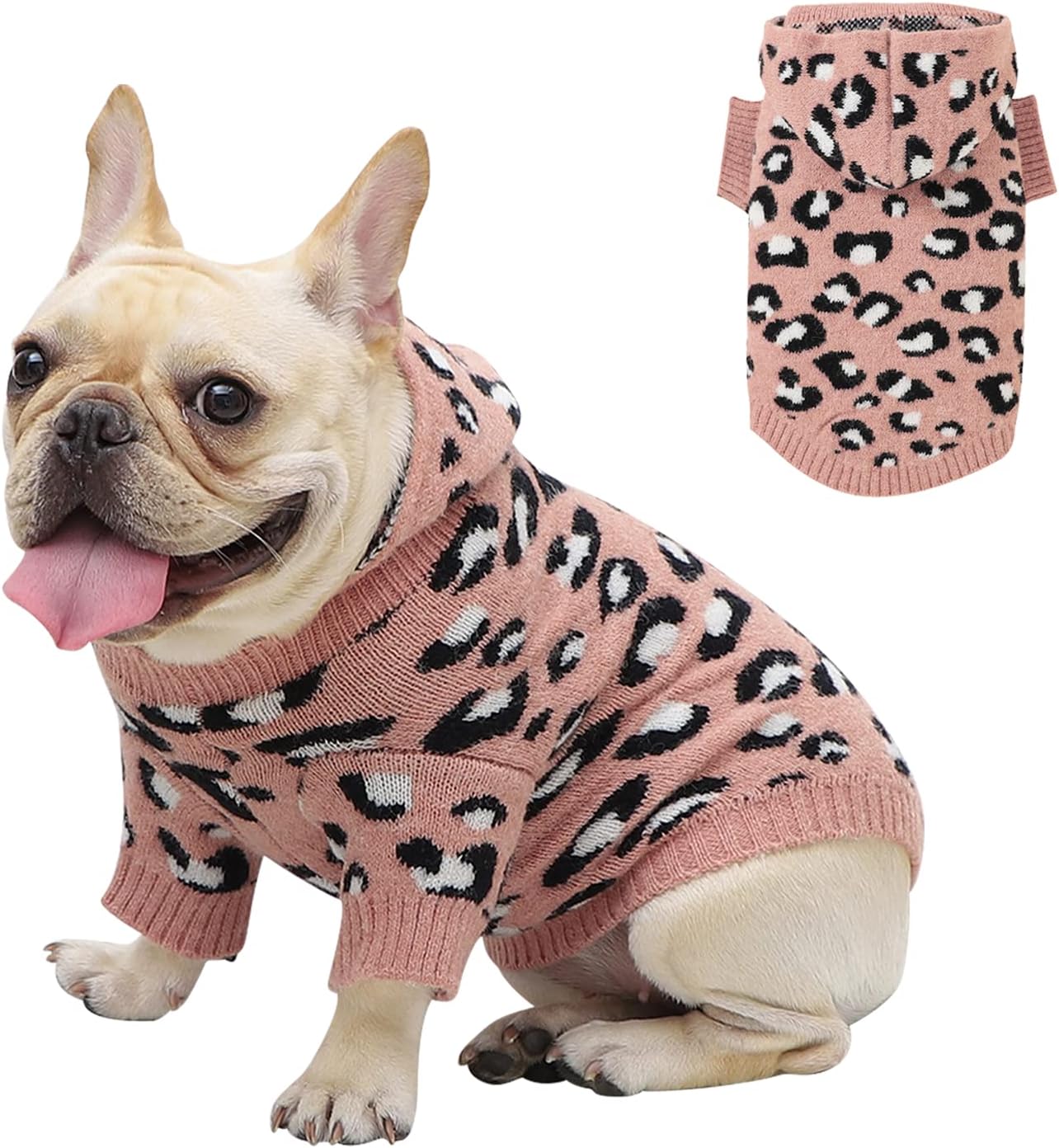 leopard dog sweater