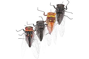 Toyvian Cicada Fake Plastic Model Toys