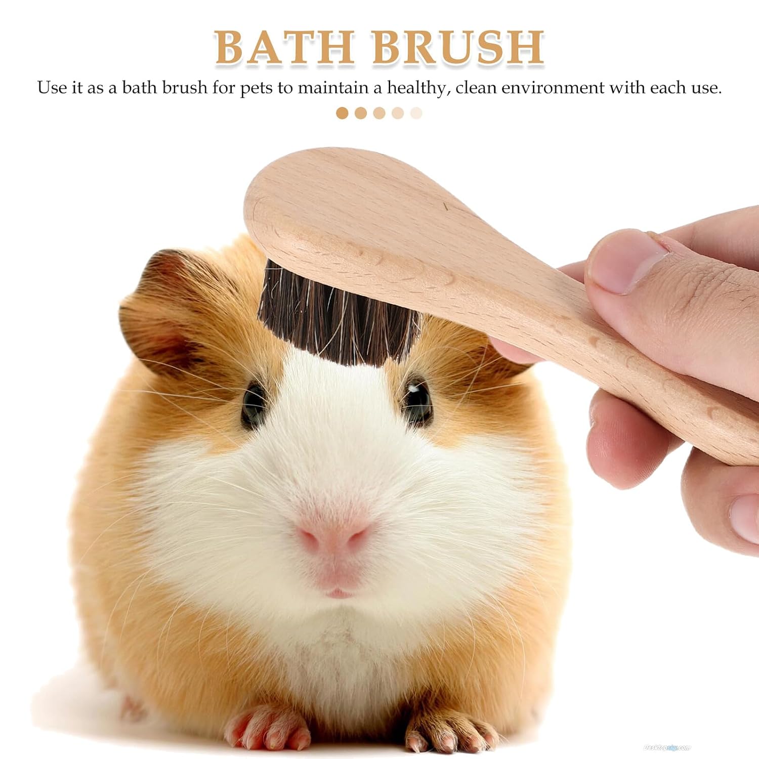 Alipis 2pcs Hamster Bath Brush Set with Soft Natural Bristles Wooden Handle for Small Pet Grooming and Bathing – Gentle Scrubber for Guinea Pigs and Hamsters