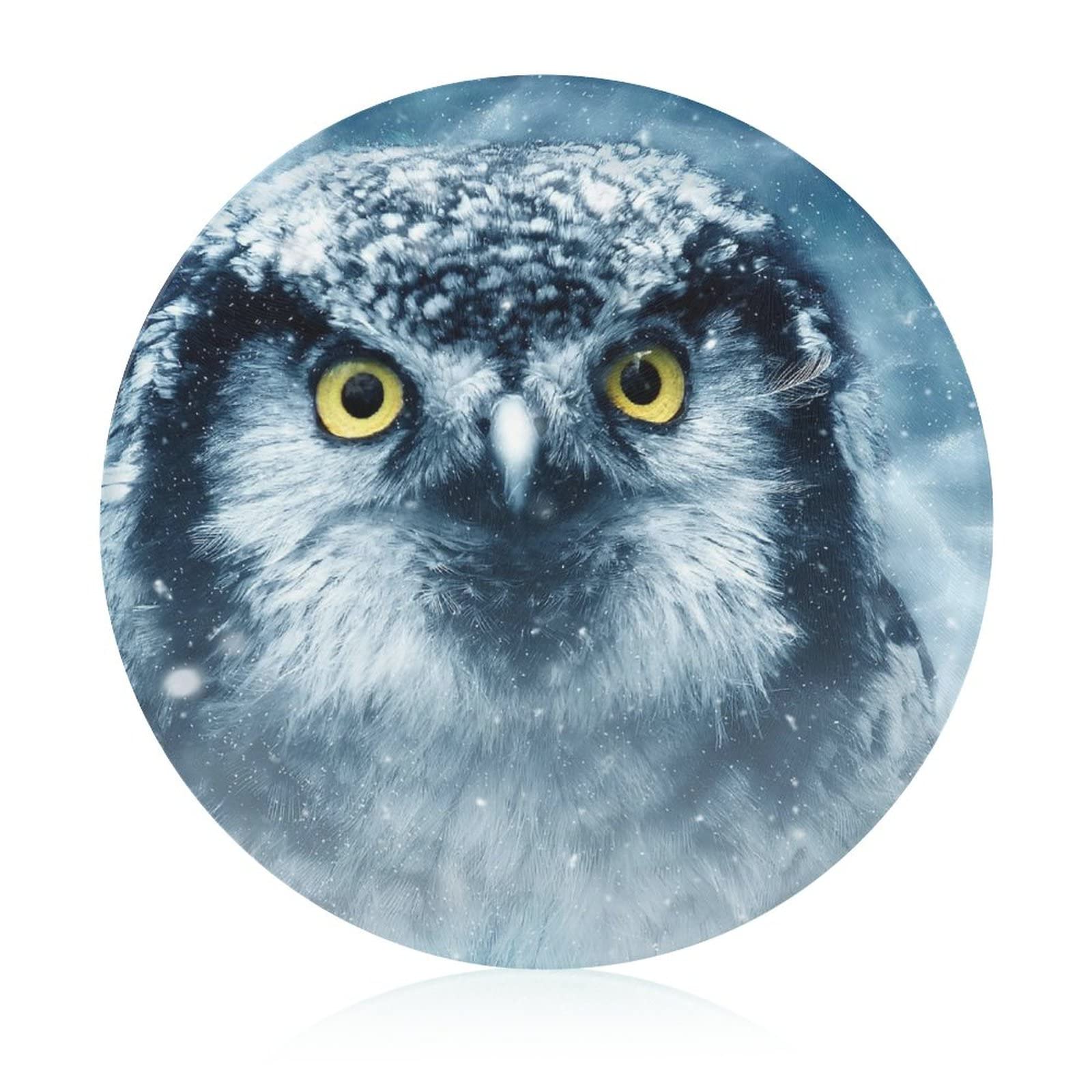 Plaques de cuisine oiseau de neige et planche à découper en verre pour vos apéritifs