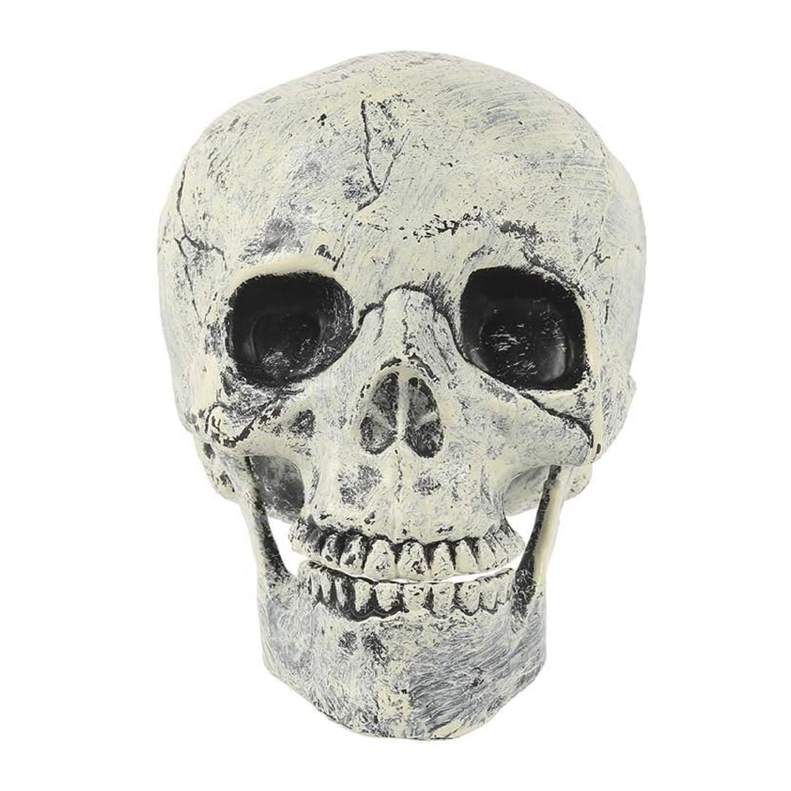 Calavera Decoración de Halloween,Cráneo Humano Modelo,Cabeza De Calavera De Plástico,Cráneo Humano Realista Hueso para Halloween Fiesta Temática Y Carnaval