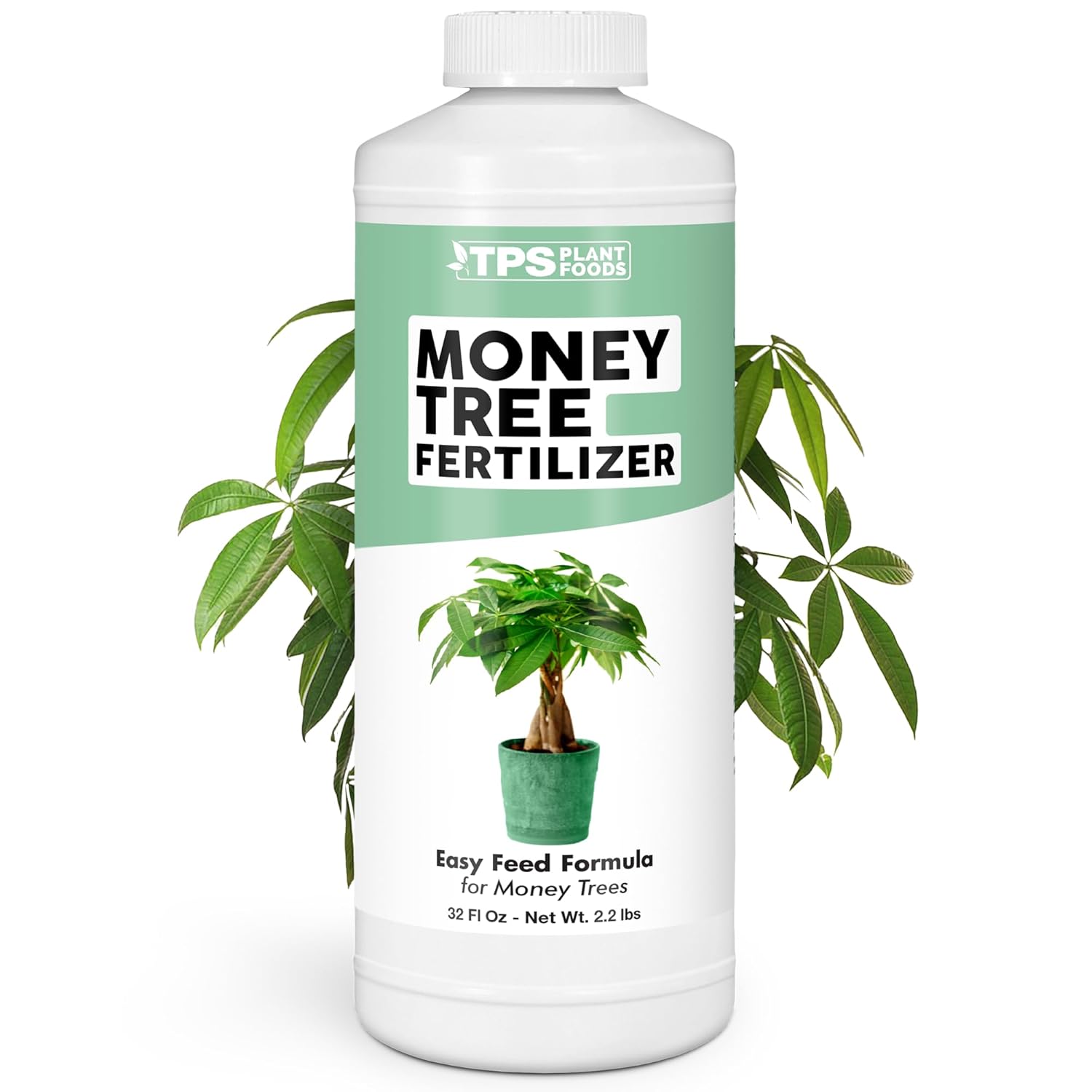 Money Tree Fertilizer – Liquid Plant Food for Lush Foliage, Healthy New Growth & Stronger Roots, 32 oz