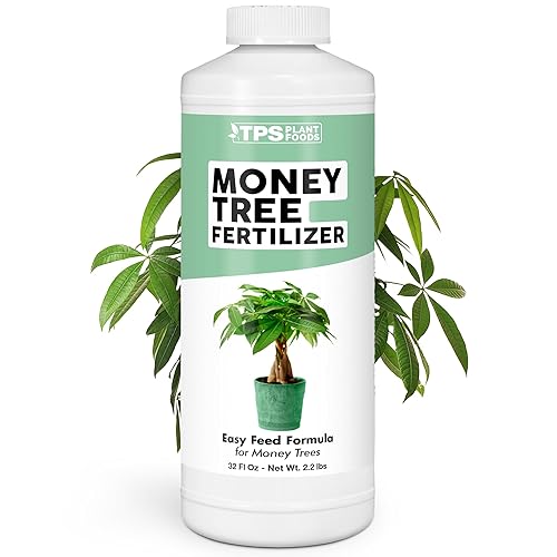 Fertilizante de árbol del dinero para árboles del dinero y todas las plantas de Pachira, alimento líquido para plantas, 32 onzas (1 cuarto de galón)