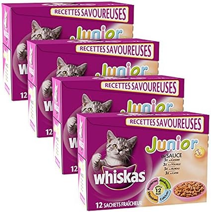 whiskas - JUNIOR - Fresh Sachets of Sauce 12 x 100g - Pack of 4 