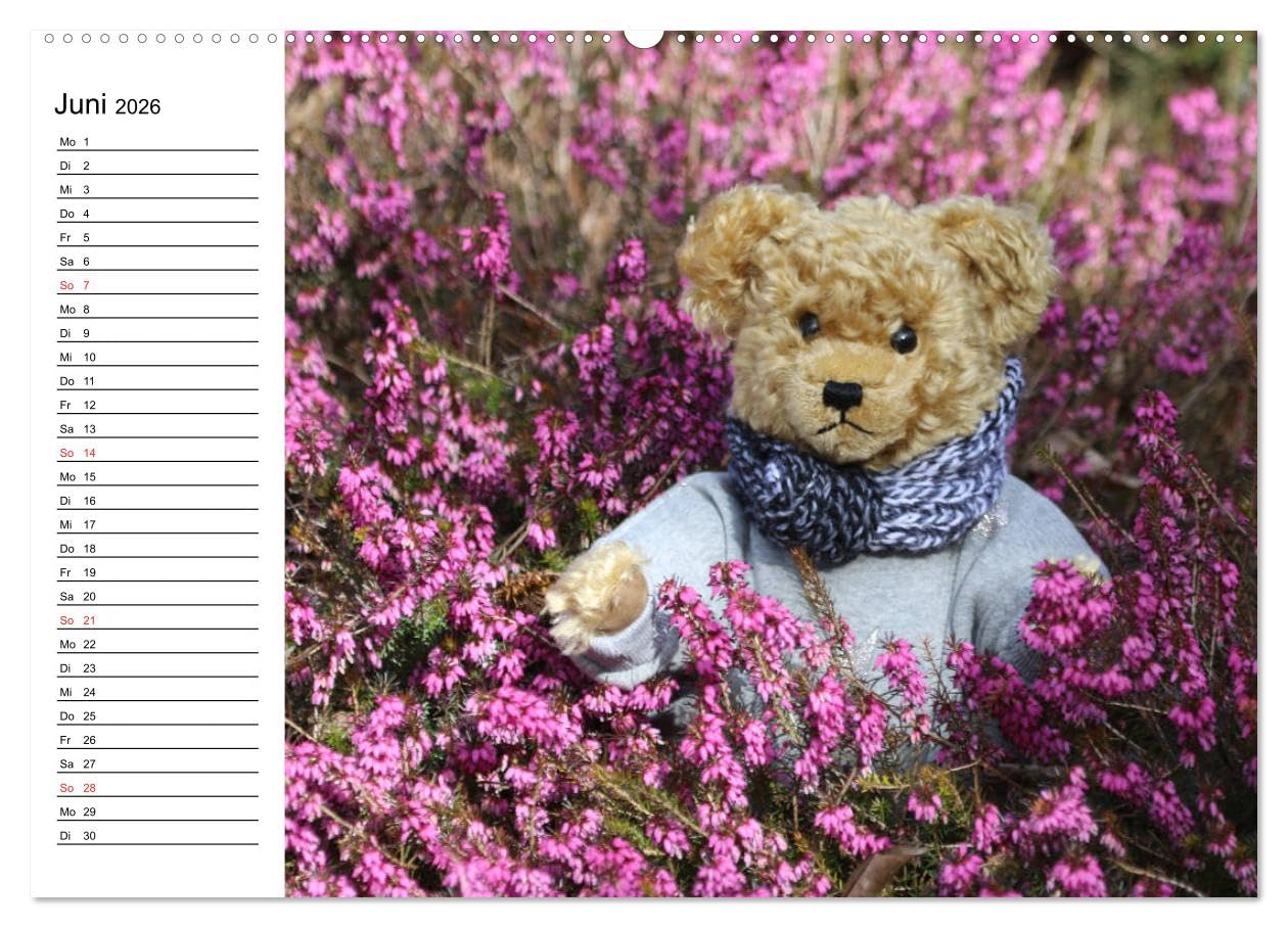 Teddy unterwegs (hochwertiger Premium Wandkalender 2026 DIN A2 quer), Kunstdruck in Hochglanz: Ein Teddykalender für die ganze Familie (CALVENDO Spass)