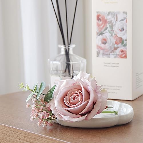 Miniatura 5 de Juego de difusor de varillas de 8.4 onzas líquidas con 6 varillas de caña, fragancia para el hogar, difusor de varillas para decoración de estantes