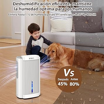 Foto del Deshumidificador