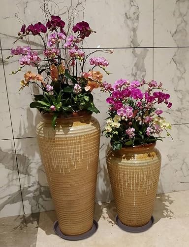 Miniatura 6 de Platillo para plantas de 12 pulgadas, paquete de 6 platillos para plantas de 12 pulgadas, bandeja de plástico resistente para macetas de 11