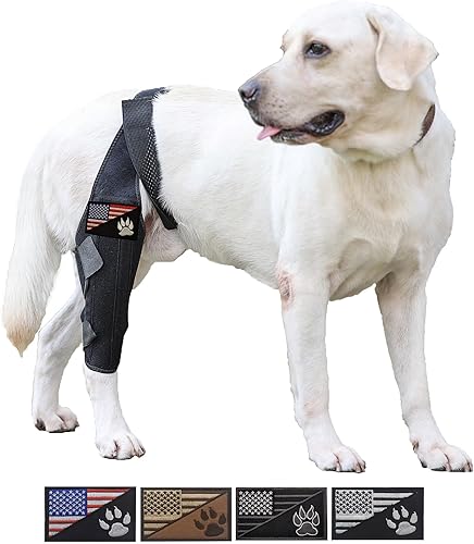 Miniatura 7 de Rodillera para perro para pierna trasera desgarrada, rodillera canina para perro, soporte de pierna de perro para piernas de perro para dolor de