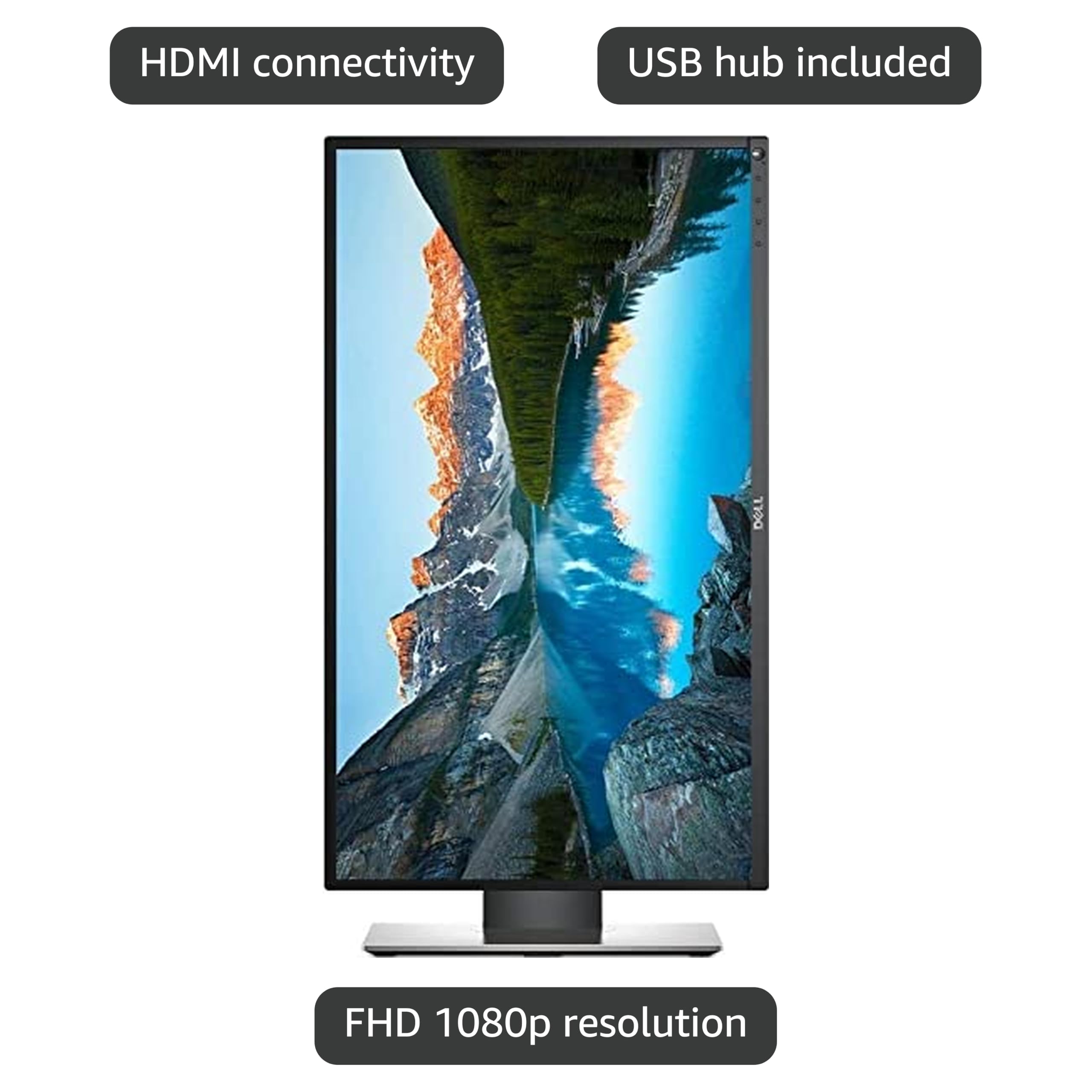 Amazon.com: Dell Professional P2417H 23.8