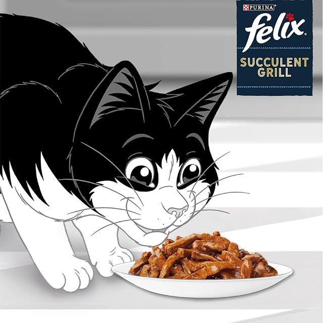 Foto 5 de 5 de Purina Felix - Peleles rústicos para Gatos con Carne de Vaca, Pollo, salmón, atún, 80 Sobres de 80 g, 1…