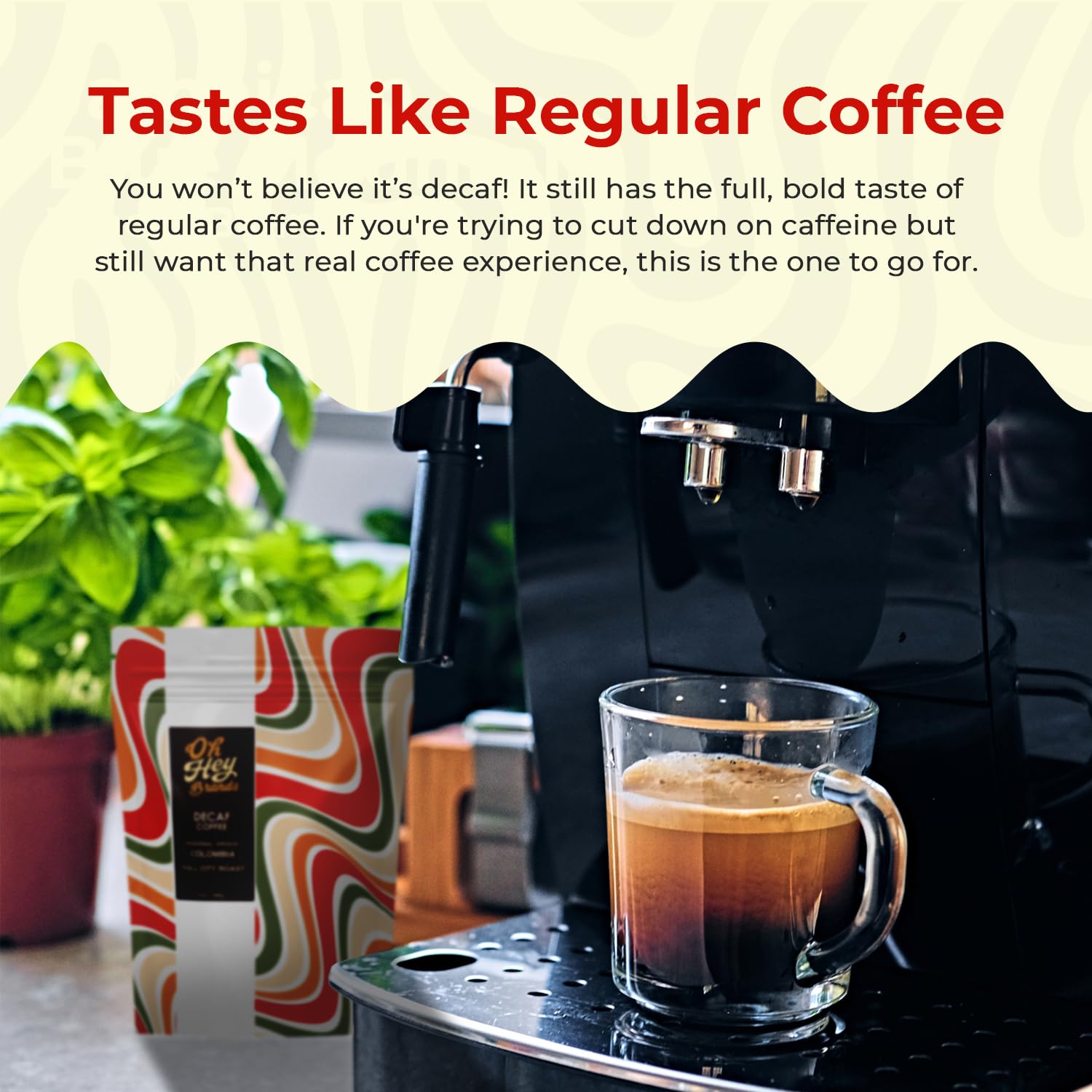OH HEY BRANDS Decaf Ground Coffee 12 oz Medium Roast – Swiss water Decaf coffee blend with Rich Cocoa, Toasted Nut, and Dried Fruit Notes – Full-Flavor, Chemical-Free Decaf Coffee