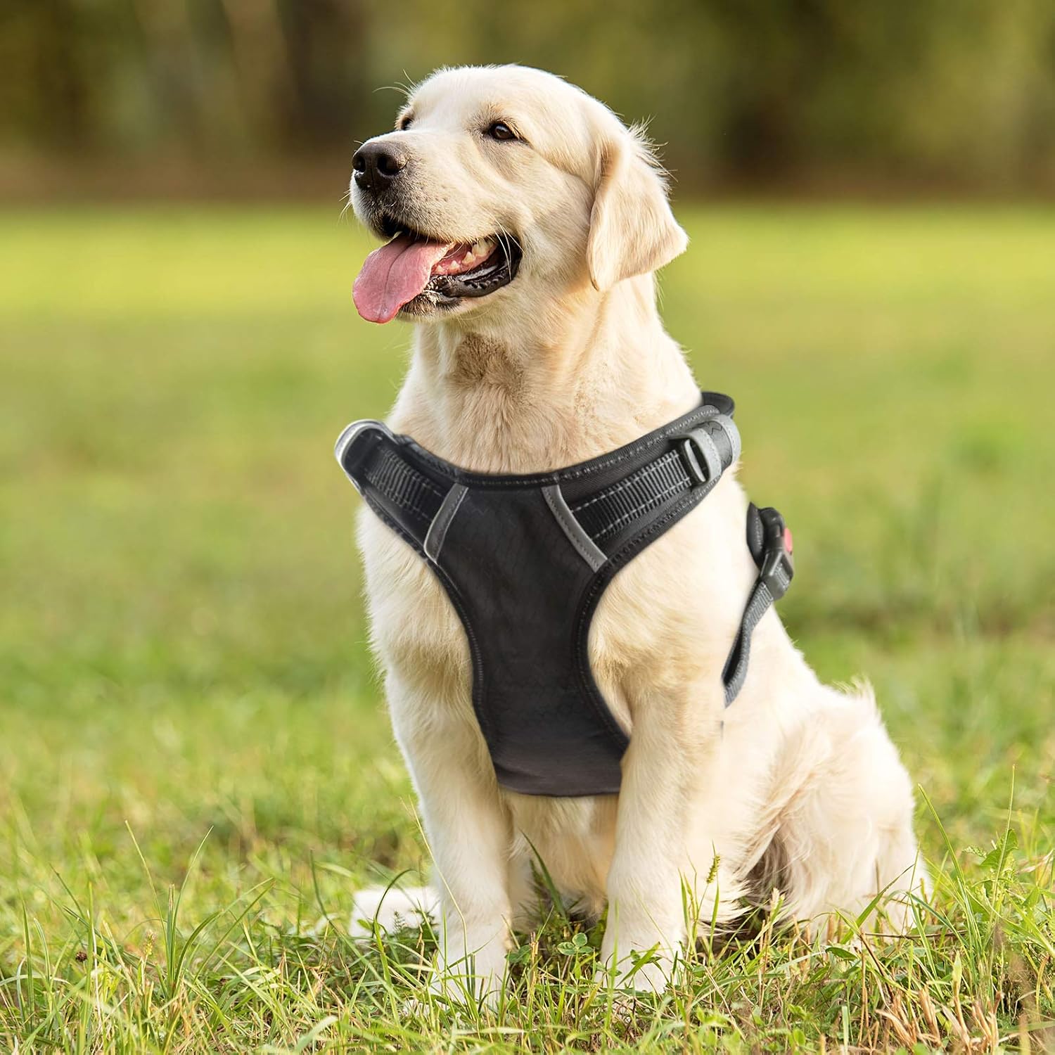 Pawshoppie Dog Harness No-Pull Pet Harness Adjustable Outdoor Pet Vest 3M Reflective Oxford Material Vest for Dogs Easy Control for…