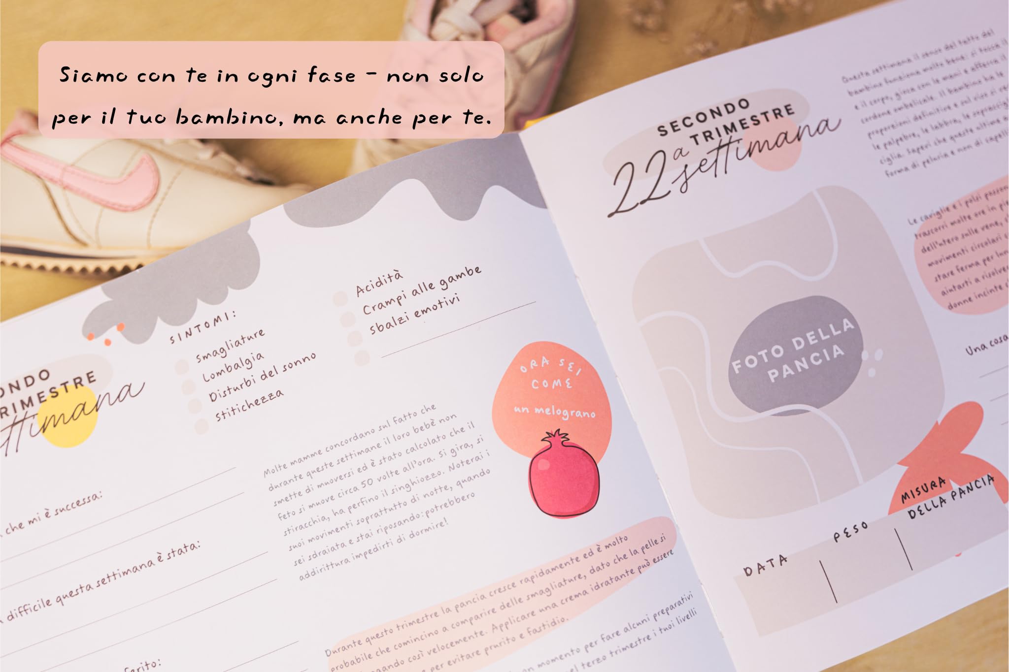Diario della Gravidanza per Mamma - Album dei Ricordi per Future Mamme - Libro Gravidanza da Compilare con Spazio Foto e Pensieri Settimanalmente - 3