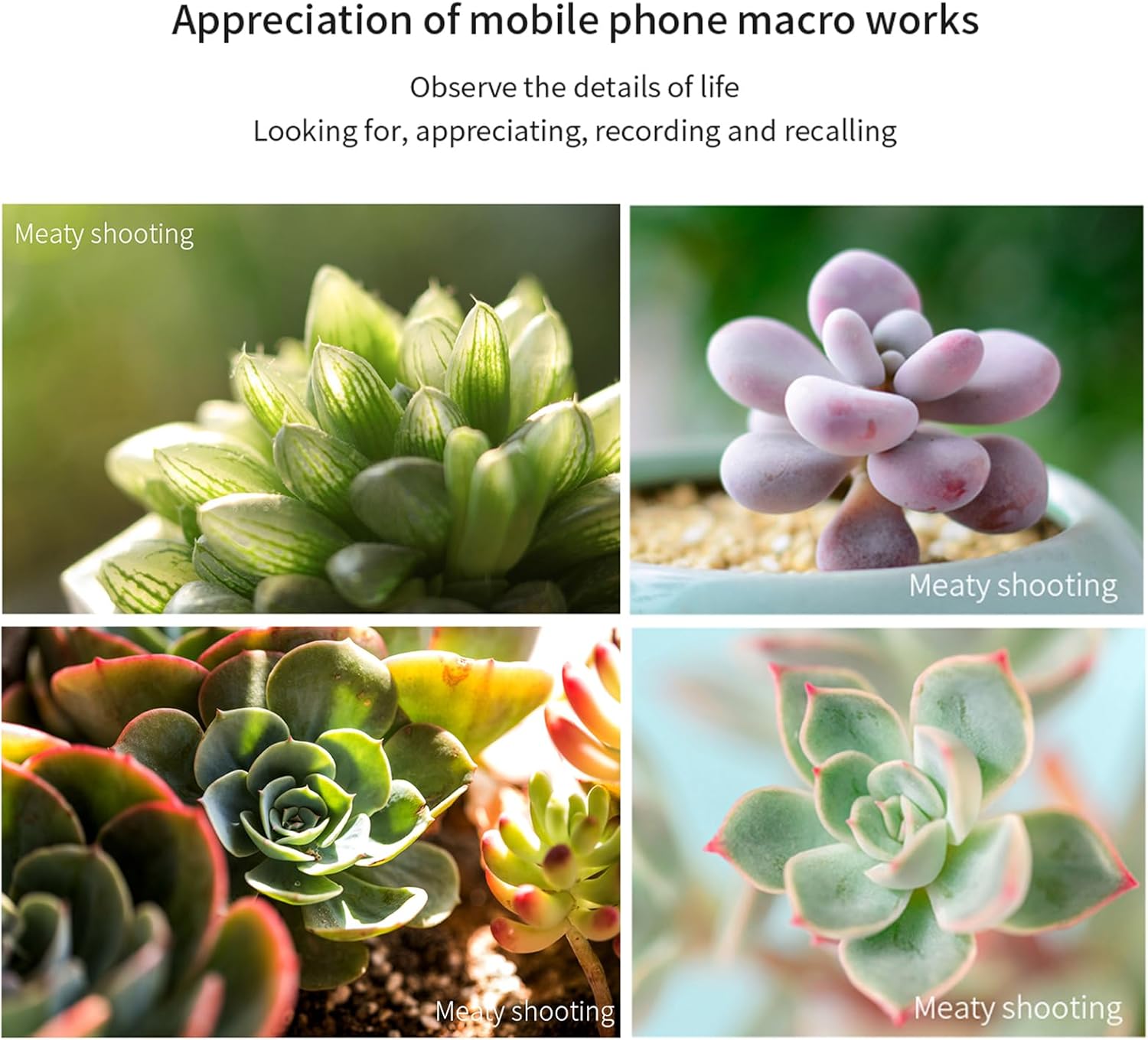 Andoer Universal Macro Lens for iPhone, 30-120mm, No Distortion, Prime, Fixed Focus, 4:1 Zoom, Optical Glass + Aluminum Alloy + ABS