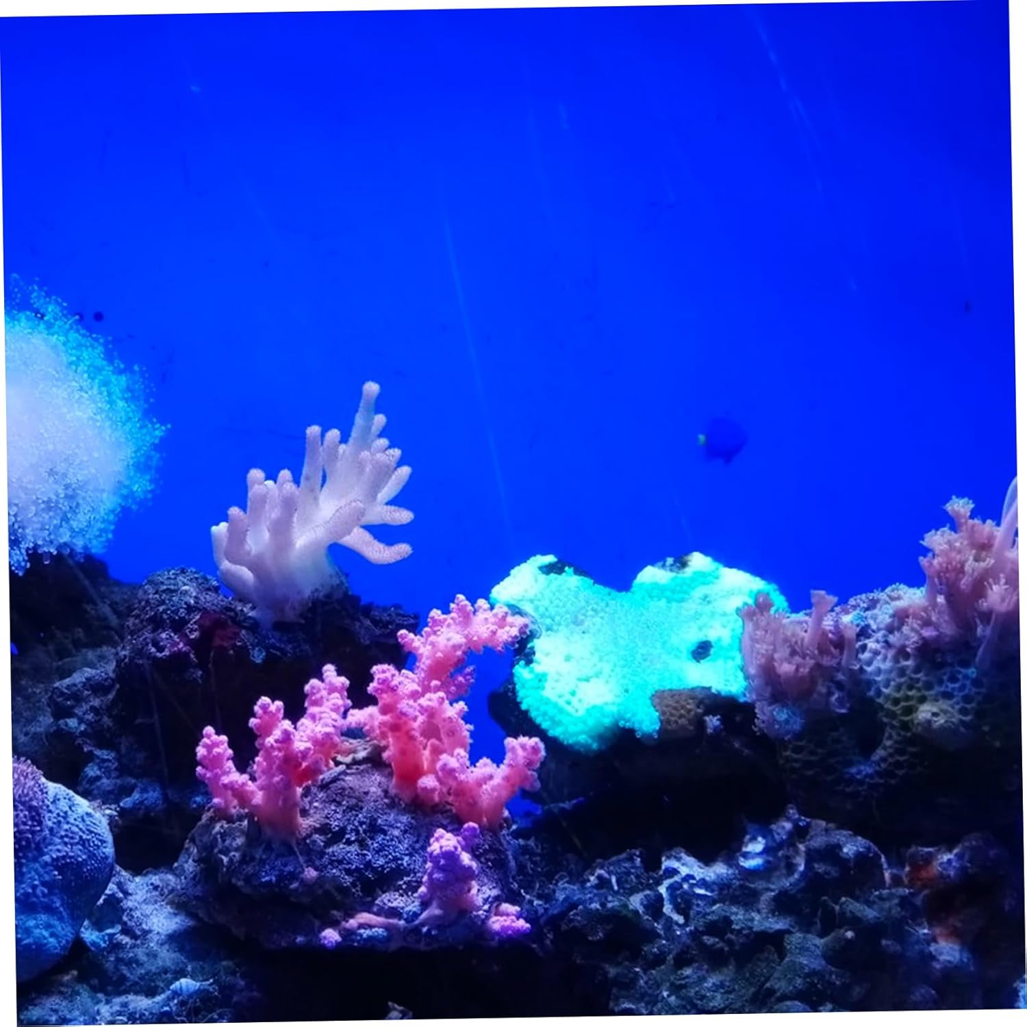TOYANDONA Self Adhesive Aquarium Wallpaper Roll Sticker with Lifelike Underwater Views Easy to Cut Tank for DIY Aquarium Decor