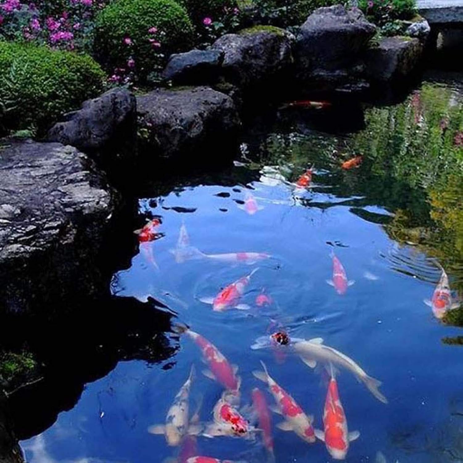 ZYFA 20 Mil HDPE Pond Skins Rubber Liner,for Fish Ponds,Fountains,Waterfall,Water Gardens,Water Features and Garden Waterfall