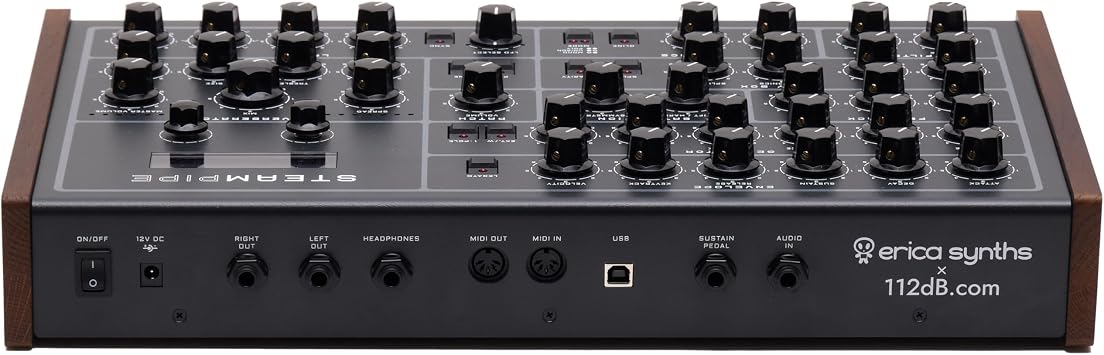 Erica Synths Steampipe Polyphonic Modeling Synthesizer