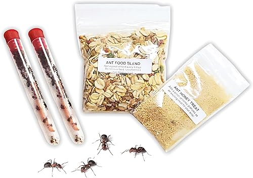 Miniatura 8 de Vive Ant Farm Ants enviado ahora kit de hormigas de repuesto doble pedido