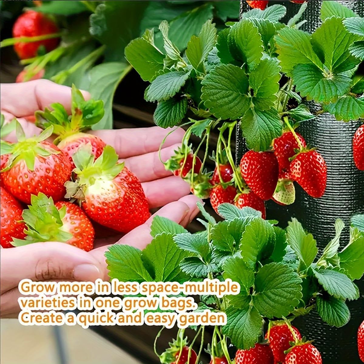 10 Pack Haning Strawberry Planter, 3 Gallon Haing Grow Bags with 8 Planting Holes Plastic Strawberry Pot Foldable Strawberries Growing Containers for Vegetables, Flowers, Herbs - Image 8