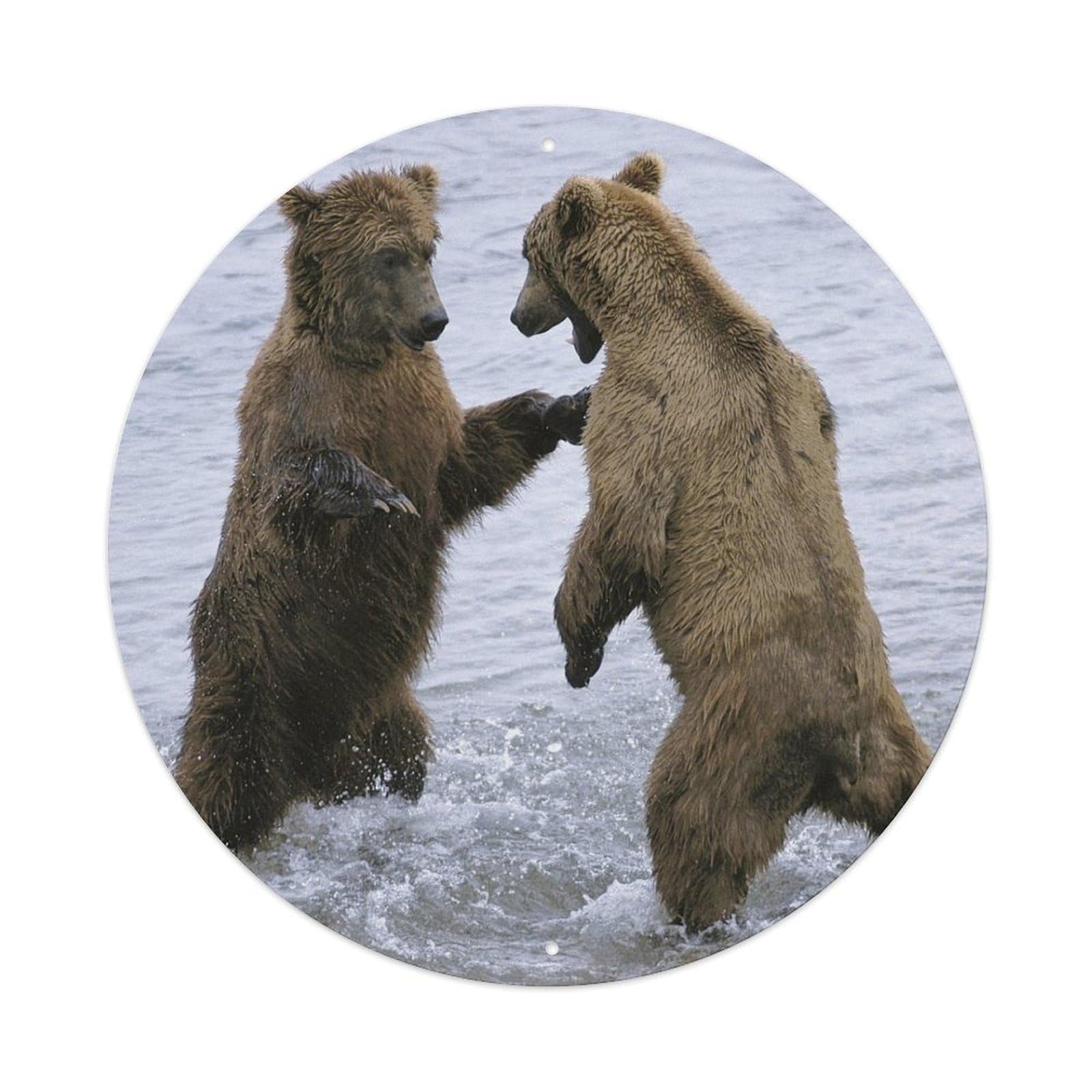 Animals Two Brown Bears Fighting in The River Metal Tin Sign