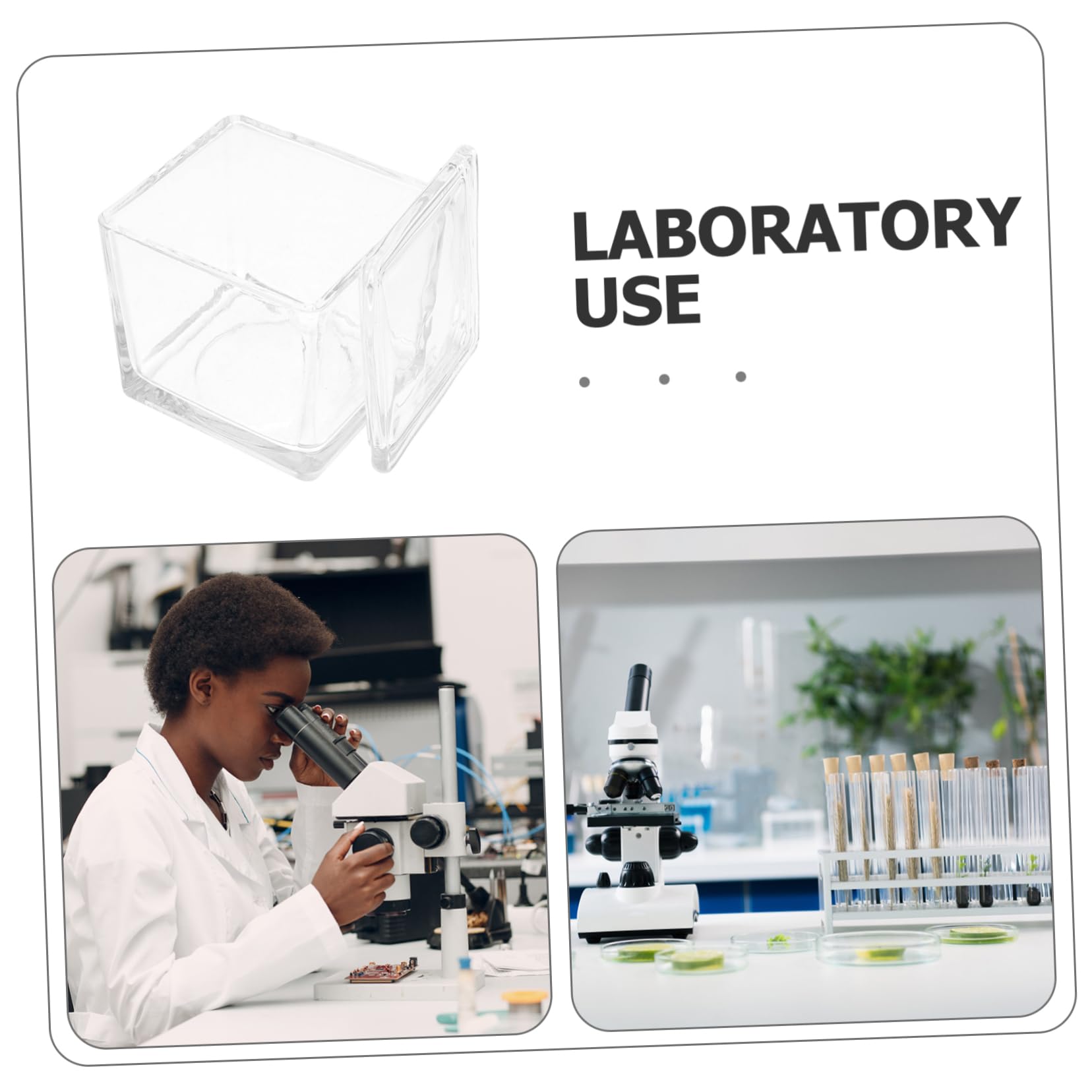 Transparentes Glas Färbegefäß mit 30 Objektträgern Mikroskopzubehör für Kinder Vertikales und Rundes Design Stabile Färbeumgebung für Biologieunterricht