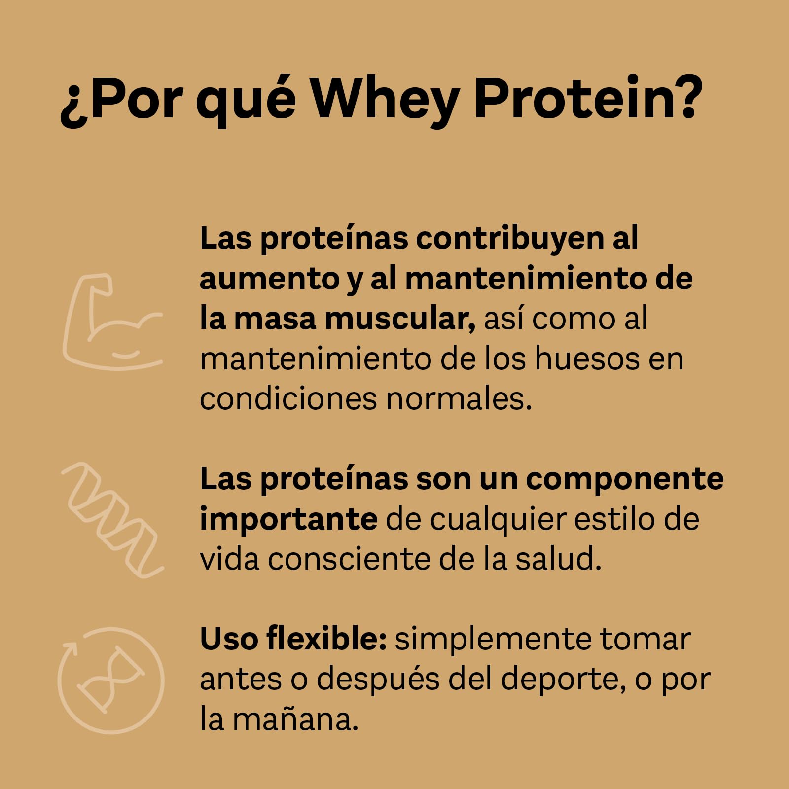 Doppelherz Whey Protein Chocolate – Proteína de suero en polvo, alto contenido en proteínas, 1000 g