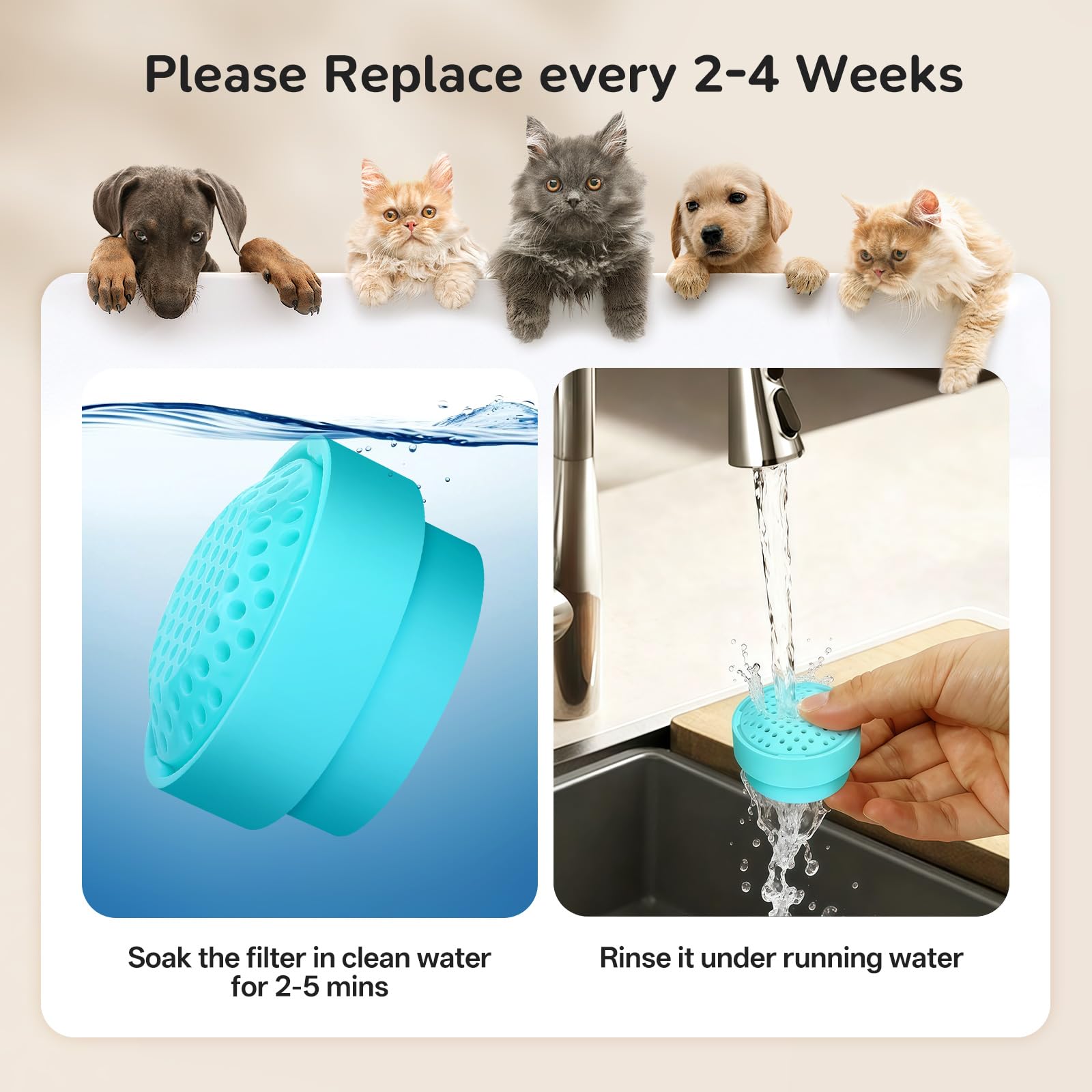 Paquete de 6 filtros de fuente para gatos y 6 juegos de esponjas, compatibles con fuente de vidrio para mascotas Cepheus de 2.7 L