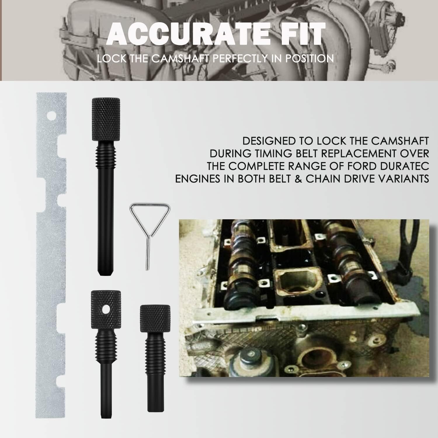 5 TLG - Cinghia dentata per Albero a camme, Compatibile con Mazda Fiesta