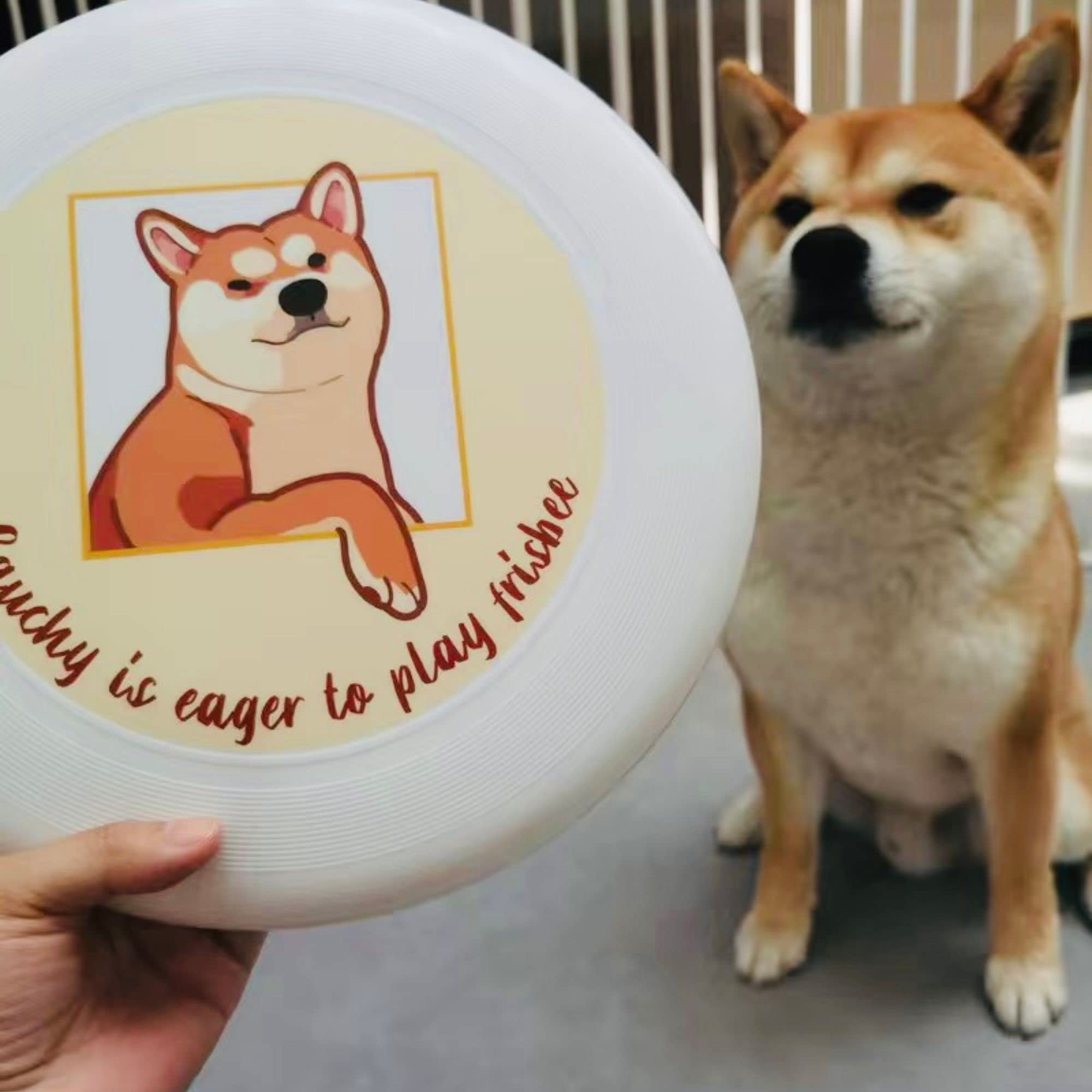 Gestalten Sie Ihre eigene Disc Golf-Scheibe, personalisiertes Foto im Freien Frisbee, 175g professionelle Flugscheibe, Trainingsausrüstung für Fitness, Disc Golf-Teamspiel (Schwarz)