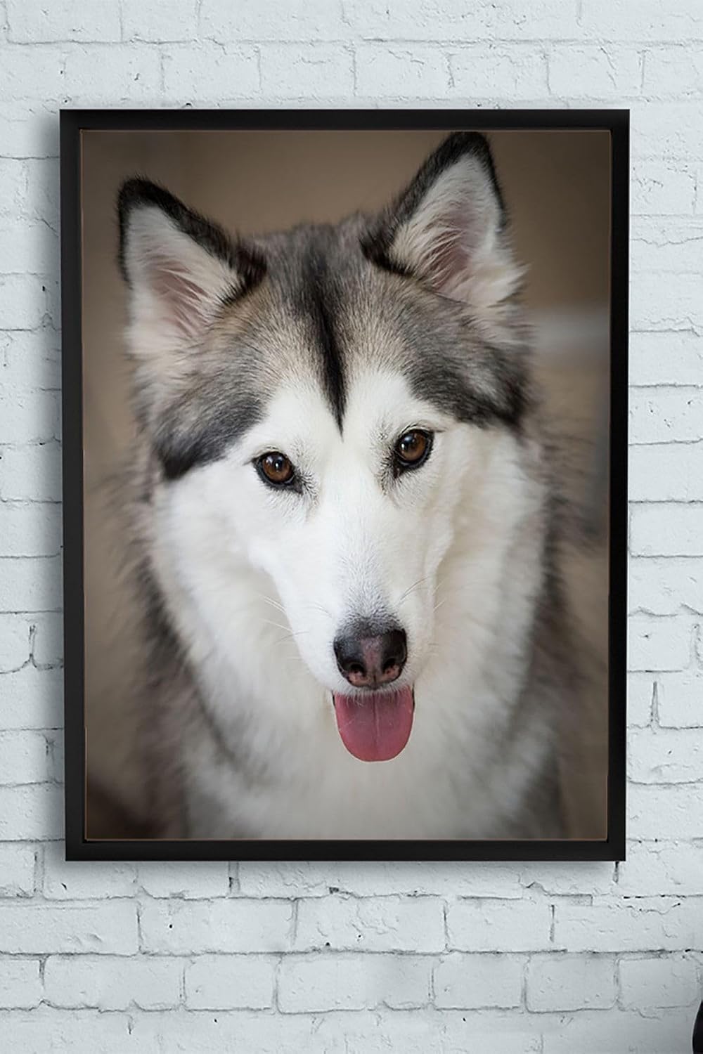 Postermanya (pster11279) Husky Hayvan Çerçeveli Tablo (21x30cm)