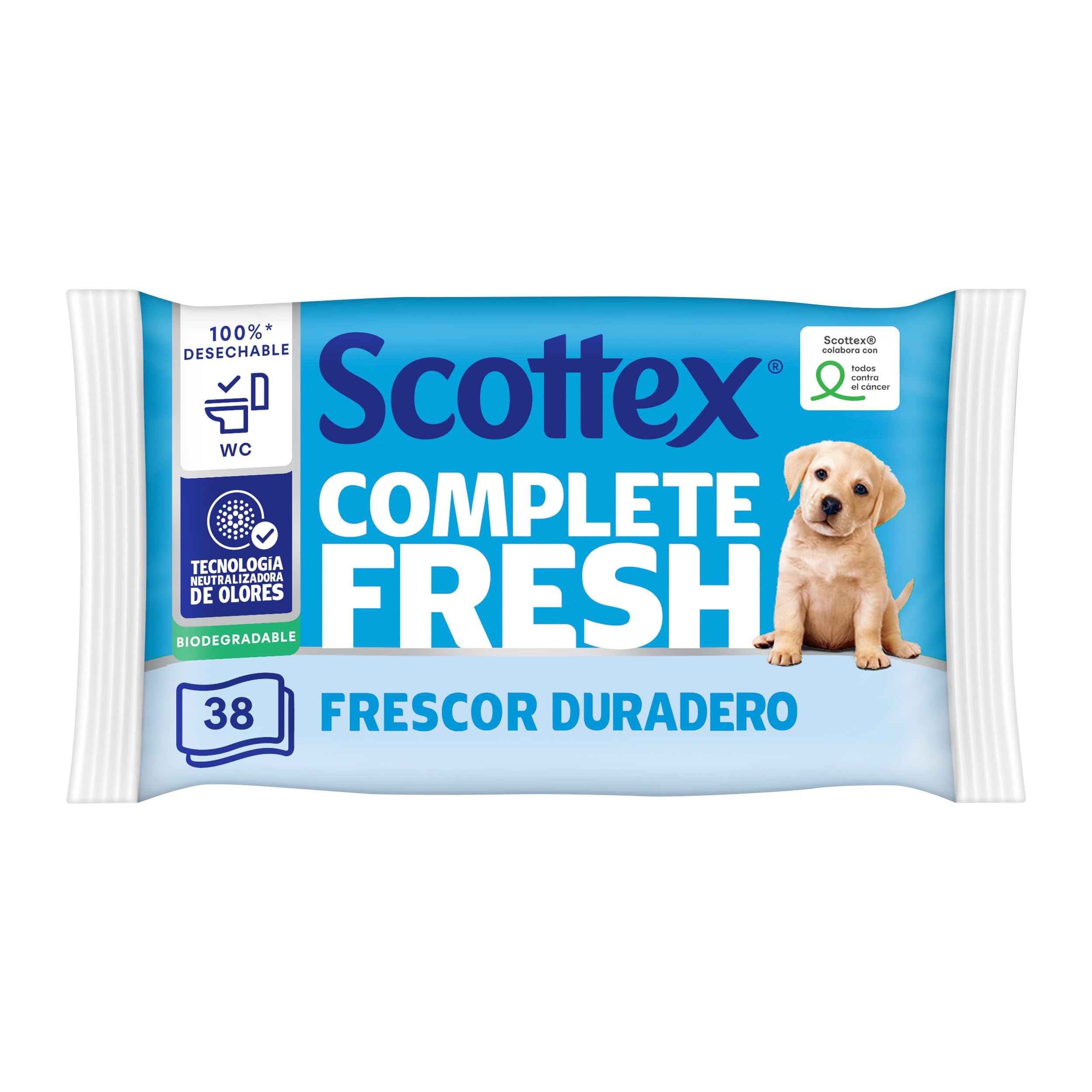 scottex Fresh, carta igienica umido – 12 confezioni da 38 (Totale 456 pezzi)