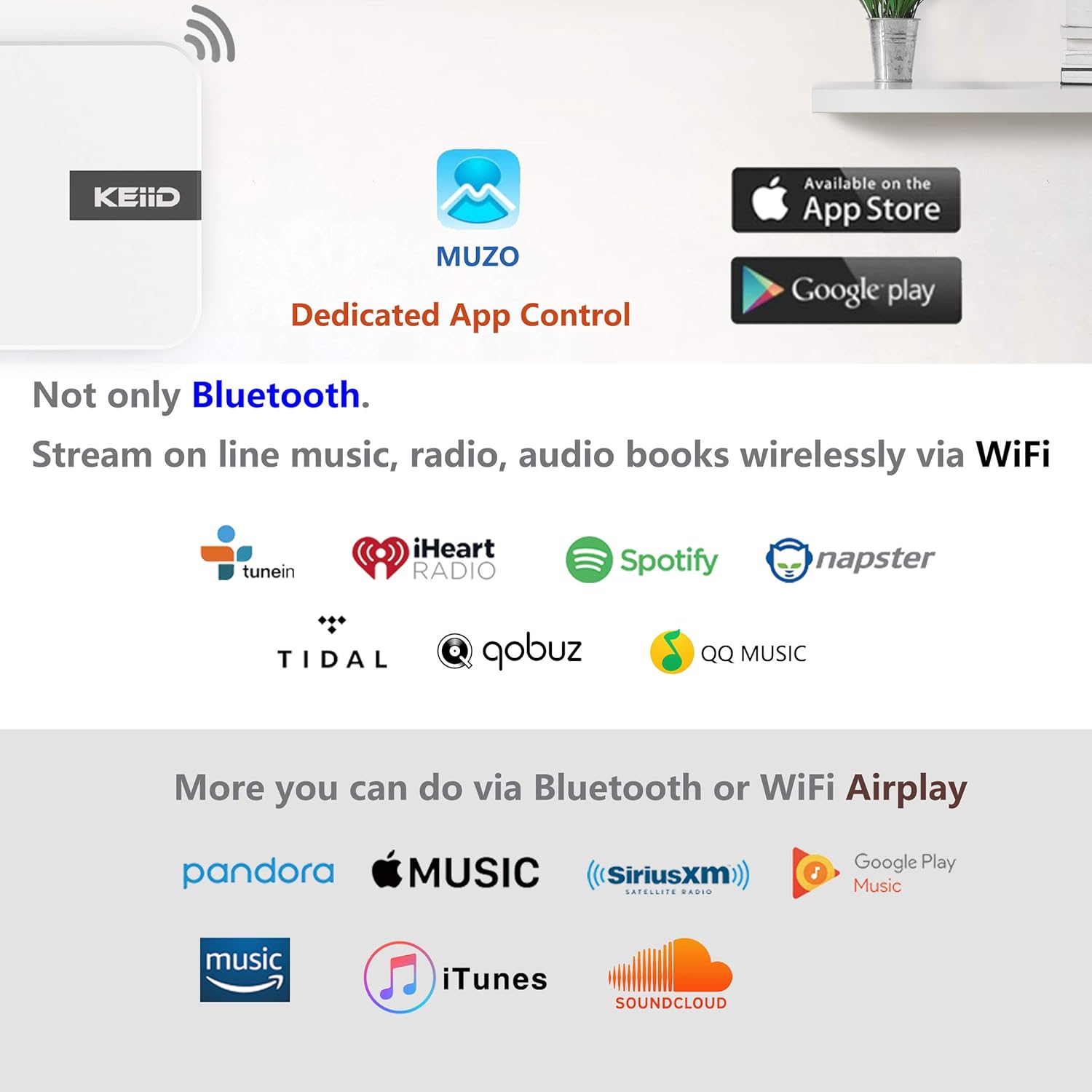 Rear view of the KEiiD Stereo Receiver showing all input and output ports.