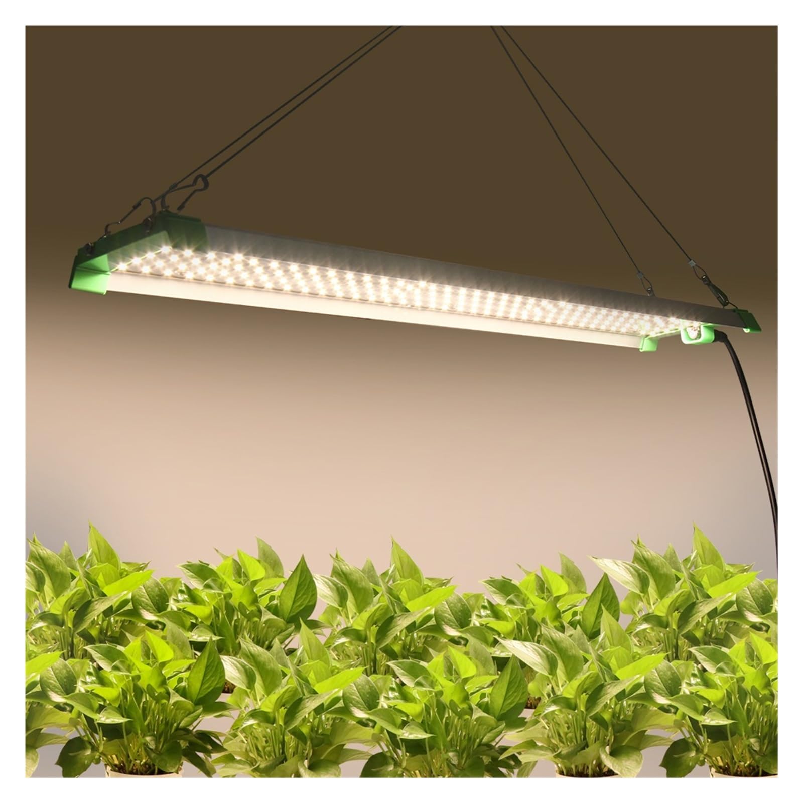 Lámpara de Cultivo, Luz LED de Cultivo LM282B, 85W, Espectro Completo, luz de Cultivo de Plantas for Invernadero, Semillas de Flores, Plantas, plántulas de Flores(QB85W56CMW)