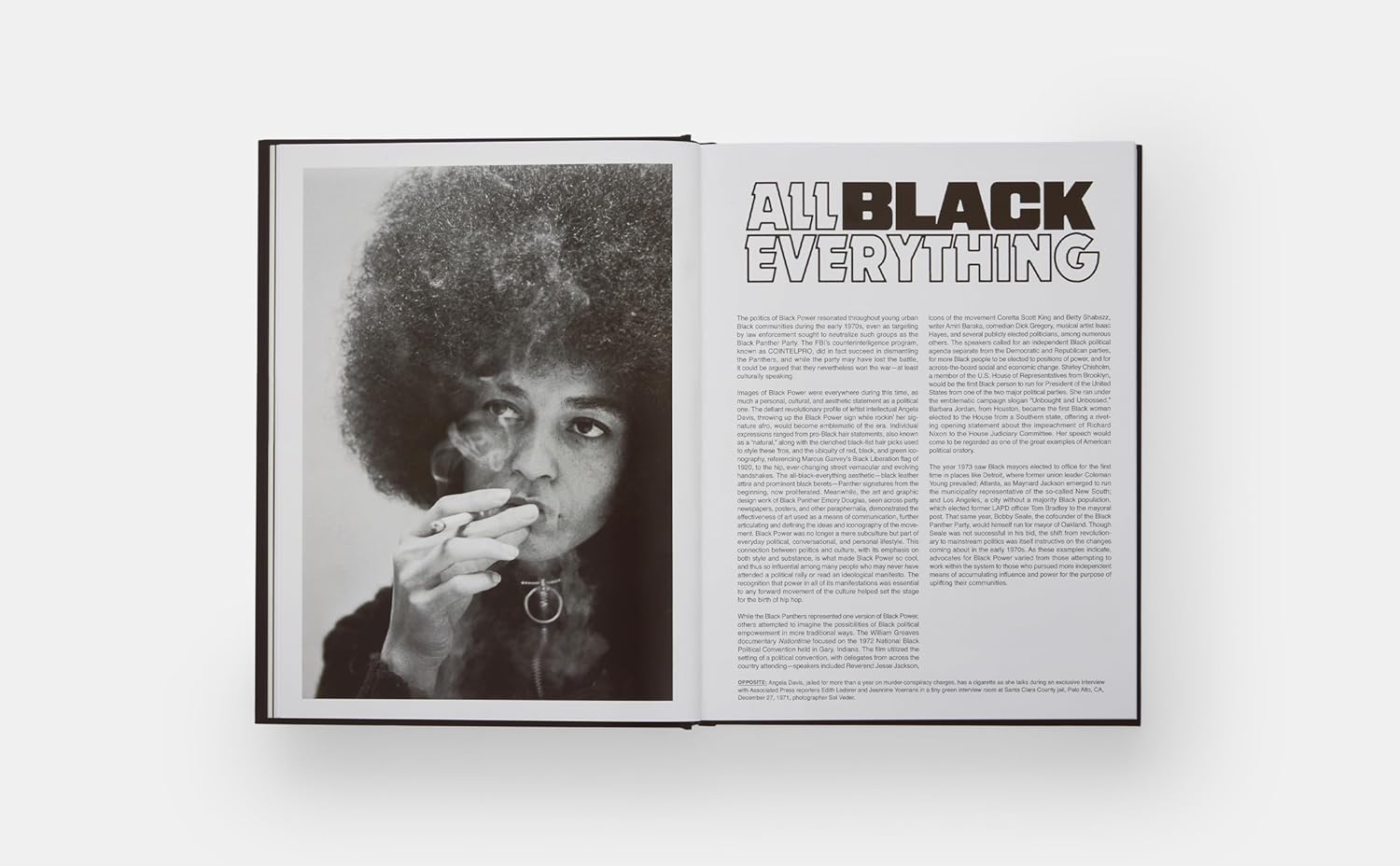 Best Book on Hip Hop Culture - Rapper's Deluxe Review