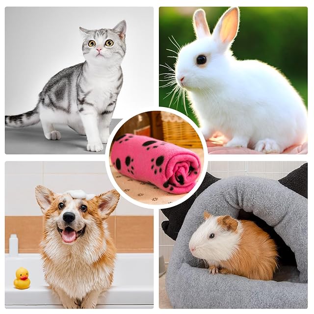 Foto 5 de 6 de MEMOFYND 2 mantas para mascotas, lindas mantas para mascotas, manta estampada para mascotas