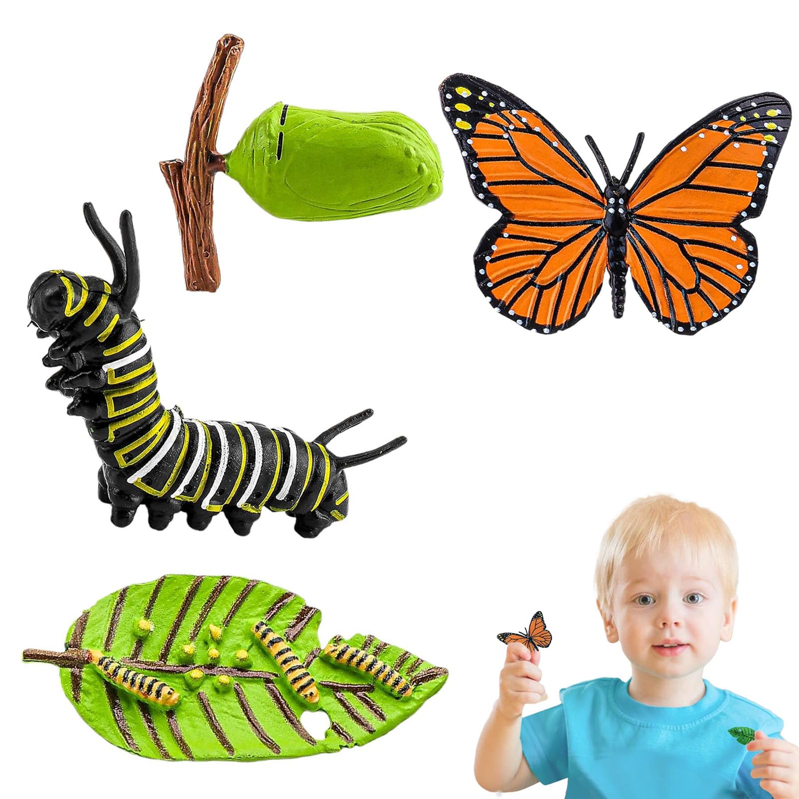 Buy 4piece Set Caterpillar Toy, Butterfly Kits with Live Caterpillars