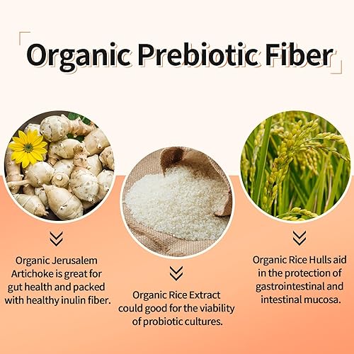 Miniatura 5 de 300 mil millones de probióticos CFU  Probióticos para mujeres y hombres 12 cepas probióticas más prebióticos para inmunidad y digestivo salud