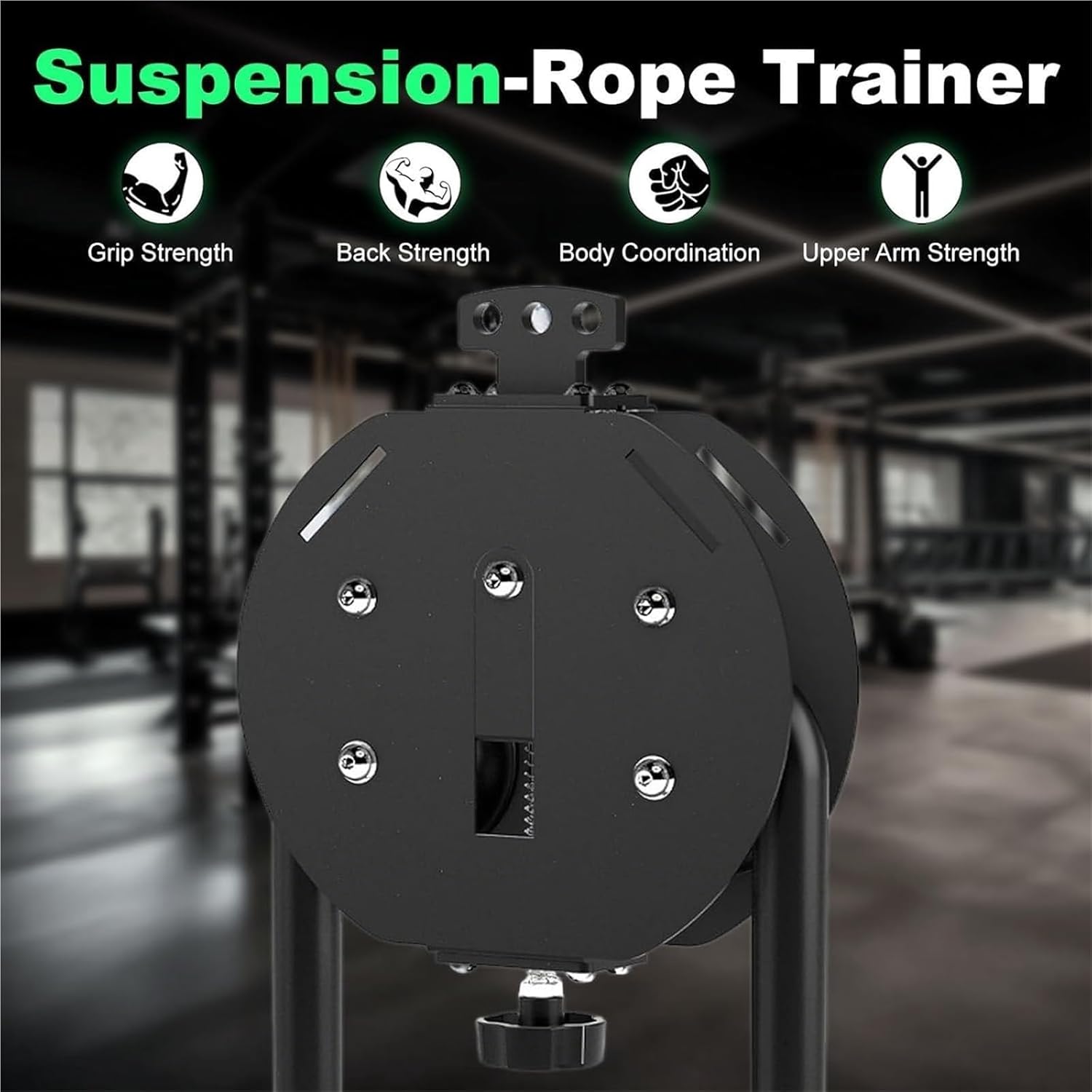 Endless Rope Trainer, Portable Cable Machine Gym With Adjustable Resistance 10-45lbs, Cable Pulley System For Strength Training