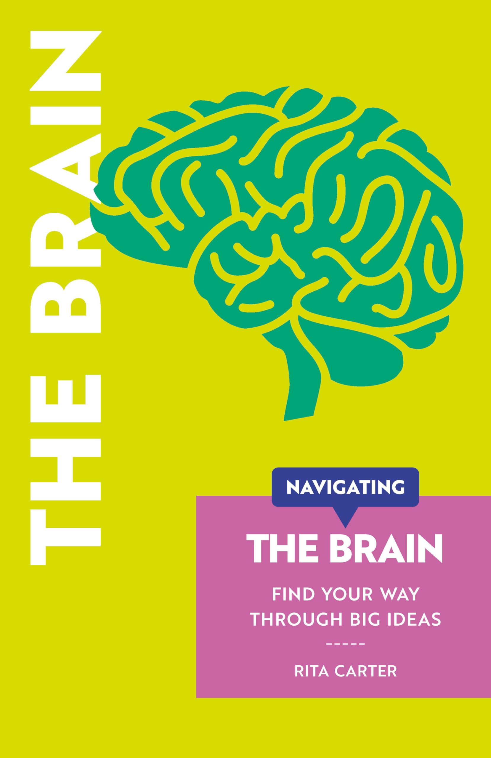 Navigating The Brain: Find Your Way Through Big Ideas