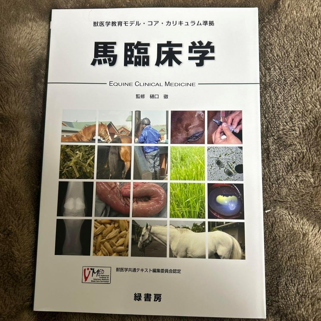 激レア コリンシアン プロスターズ ローマ １７体セット 激レア コリンシアン プロスターズ ローマ 17体セット