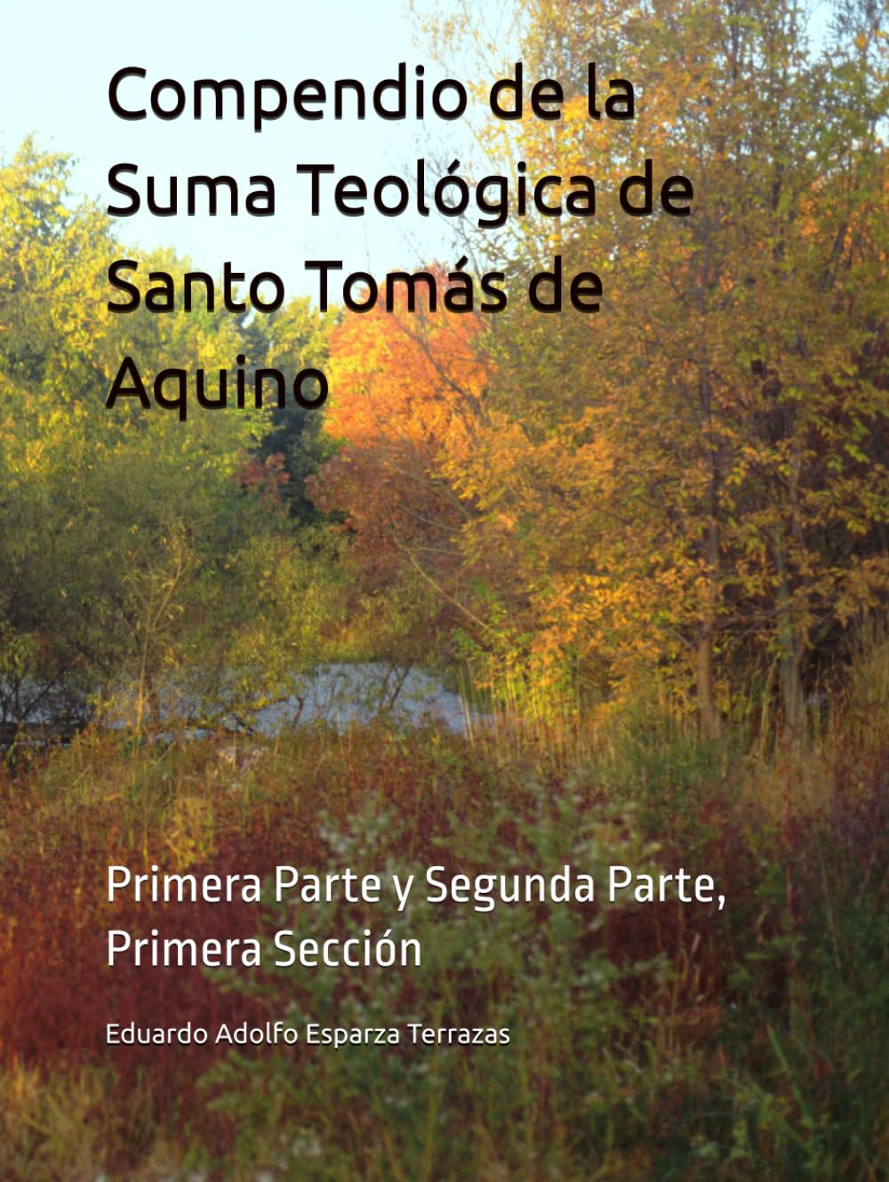 Compendio de la Suma Teológica de Santo Tomás de Aquino: Primera Parte y Segunda Parte, Primera Sección