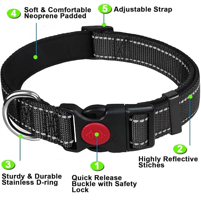Foto 2 de 7 de Dog Collar, Reflective Adjustable Basic Dog Collar with Soft Neoprene Padding