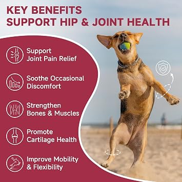 ZEBORA Hip & Joint Glucosamine Supplement for Dogs, 180 Freeze-Dried Chews